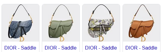 Dior Saddle Bags