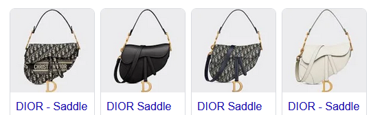 Dior Saddle Bags